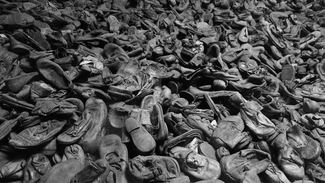 胆子真大,这片每一秒都是禁忌_哈里·哈夫特_集中营_奥斯维辛