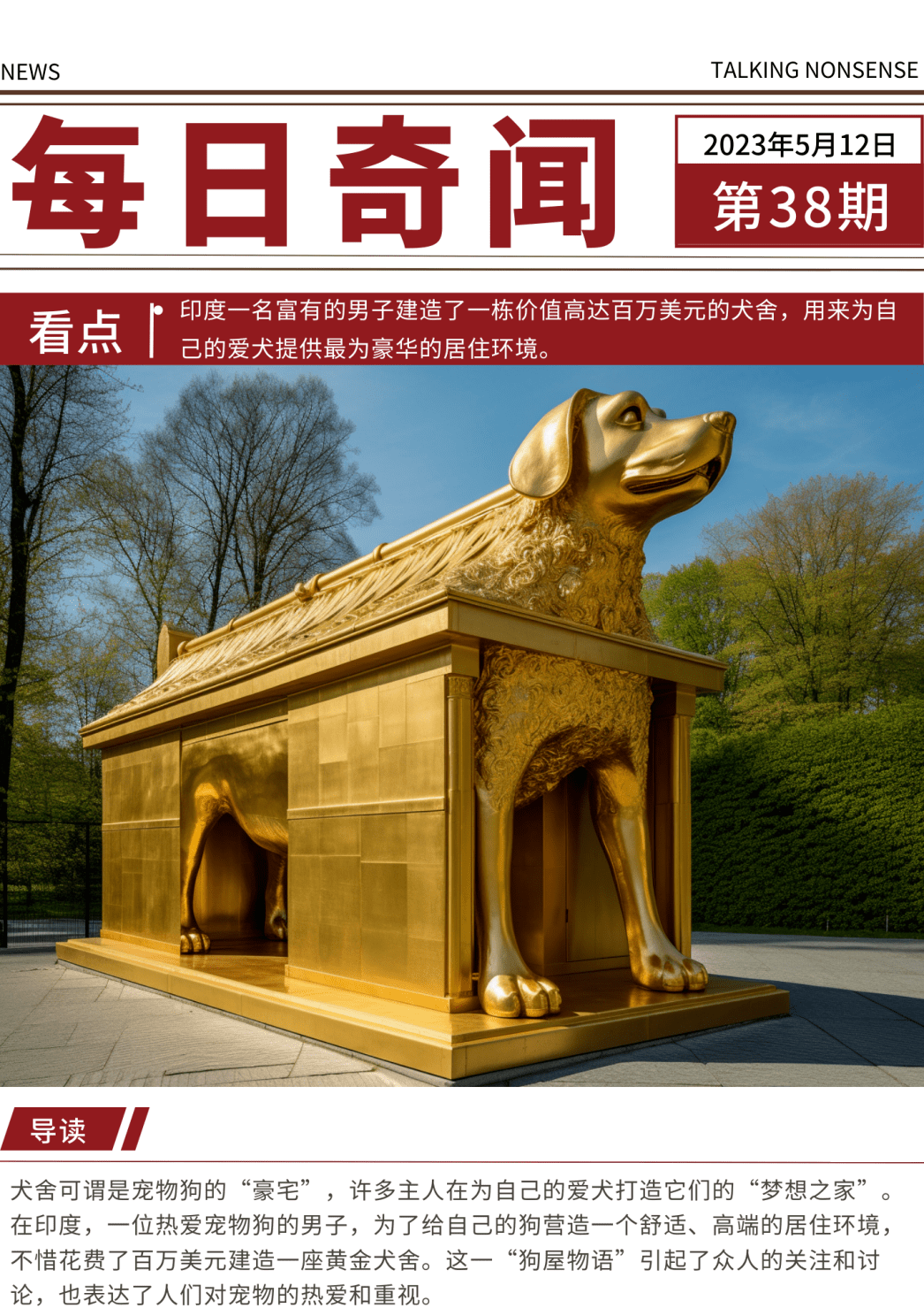 黄金犬图片及价格图片