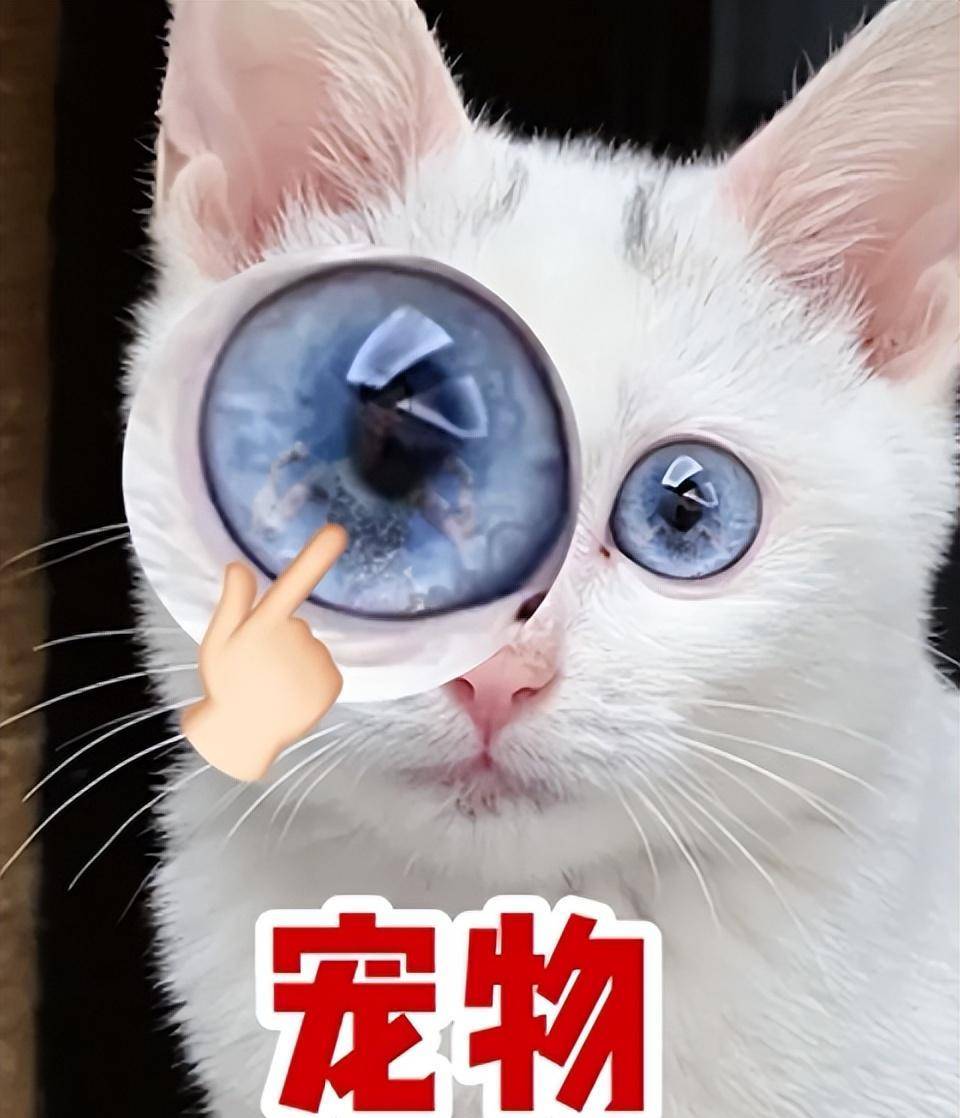 他们放大,调亮,窥探你的隐私_镜子_冷哥_科技