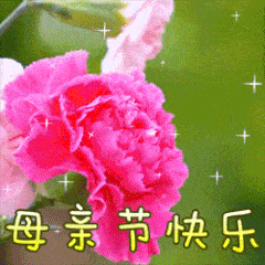 母亲节祝福语大全简短语句 母亲节问候祝福语动态表情图片（母亲节祝福语带图大全）