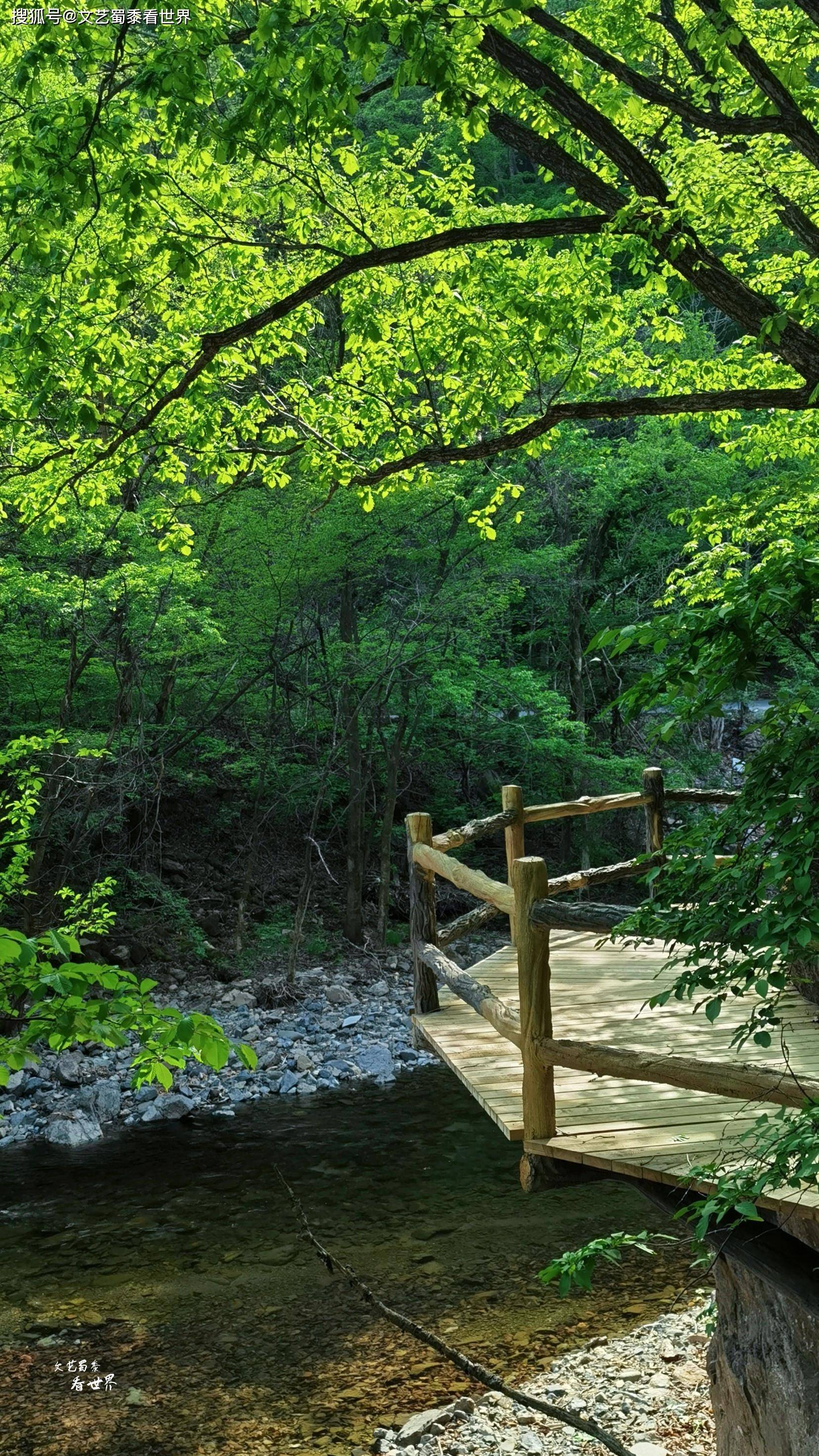 初夏时节去本溪关门山森林公园走走,人少景美,特别地幽静