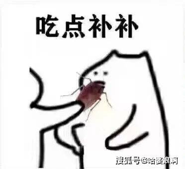 一组给蟑螂套路表情包 ,快拿去跟朋友皮一下!_-end-_侵权_网络
