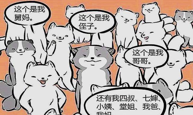 特别是汉朝的时候,九尾狐是和玉兔,蟾蜍以及三足乌并列,画在西王母的