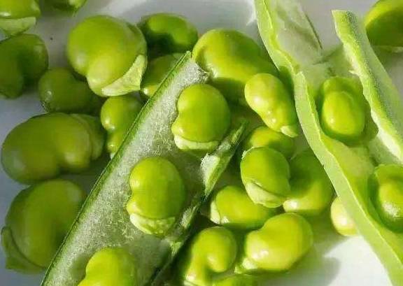 立夏吃什么美食？这5种立夏传统美食，很少有人全吃过！