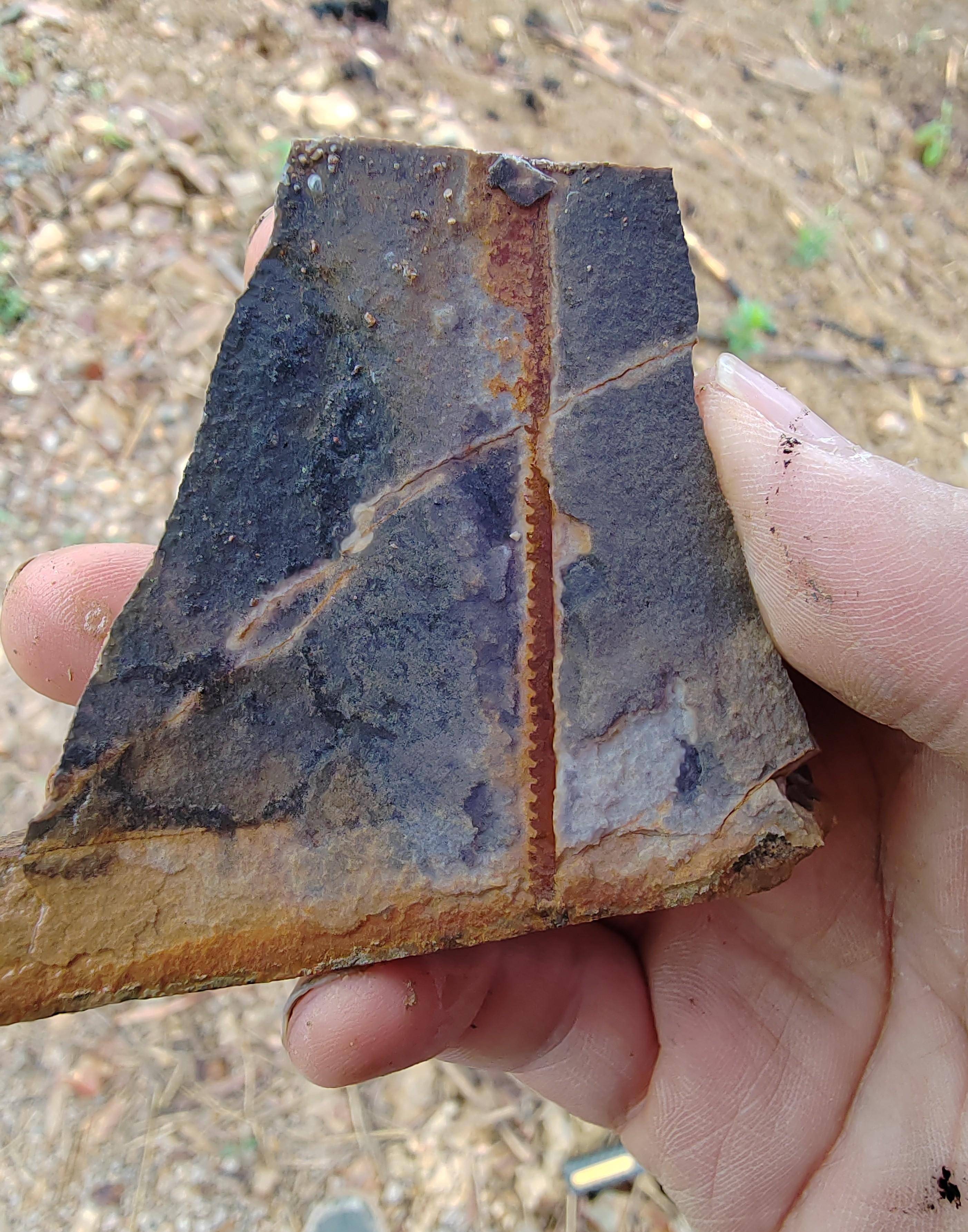 「化石探索」第33期:临沧化石之旅(十)_页岩_标本_灰色