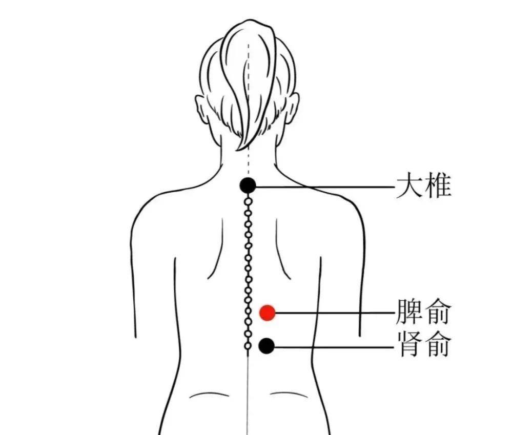 脾俞穴