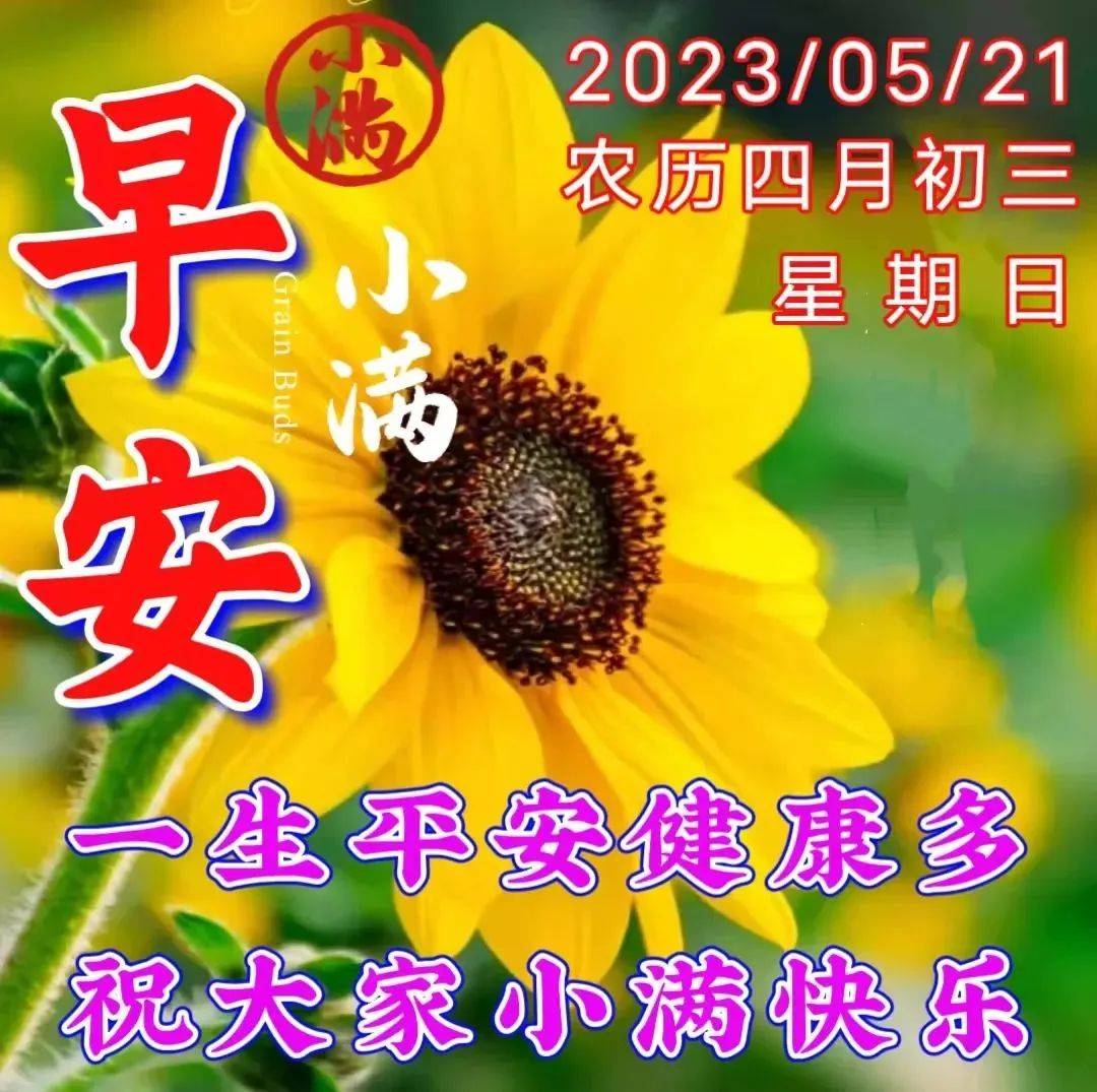 5月21日小满早上好,周日小满节气早安祝福图片带字带问候语录精选!