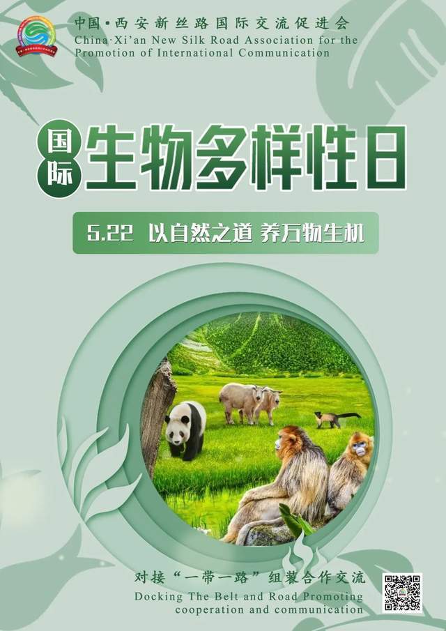 国际生物多样性日丨以自然之道 养万物生机_概念_层次_质量
