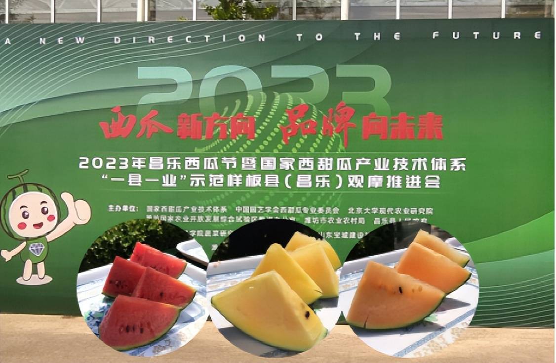 岛本酵素亮相昌乐西瓜节,助力西甜瓜品质化发展_农产品_农业_技术