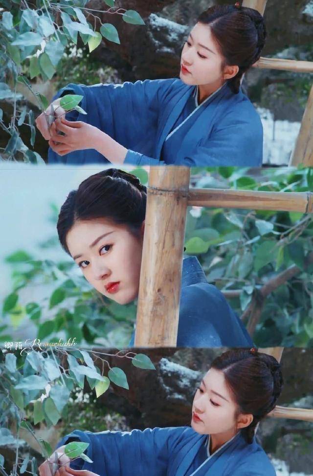 赵露思_蒋依依_郑业成