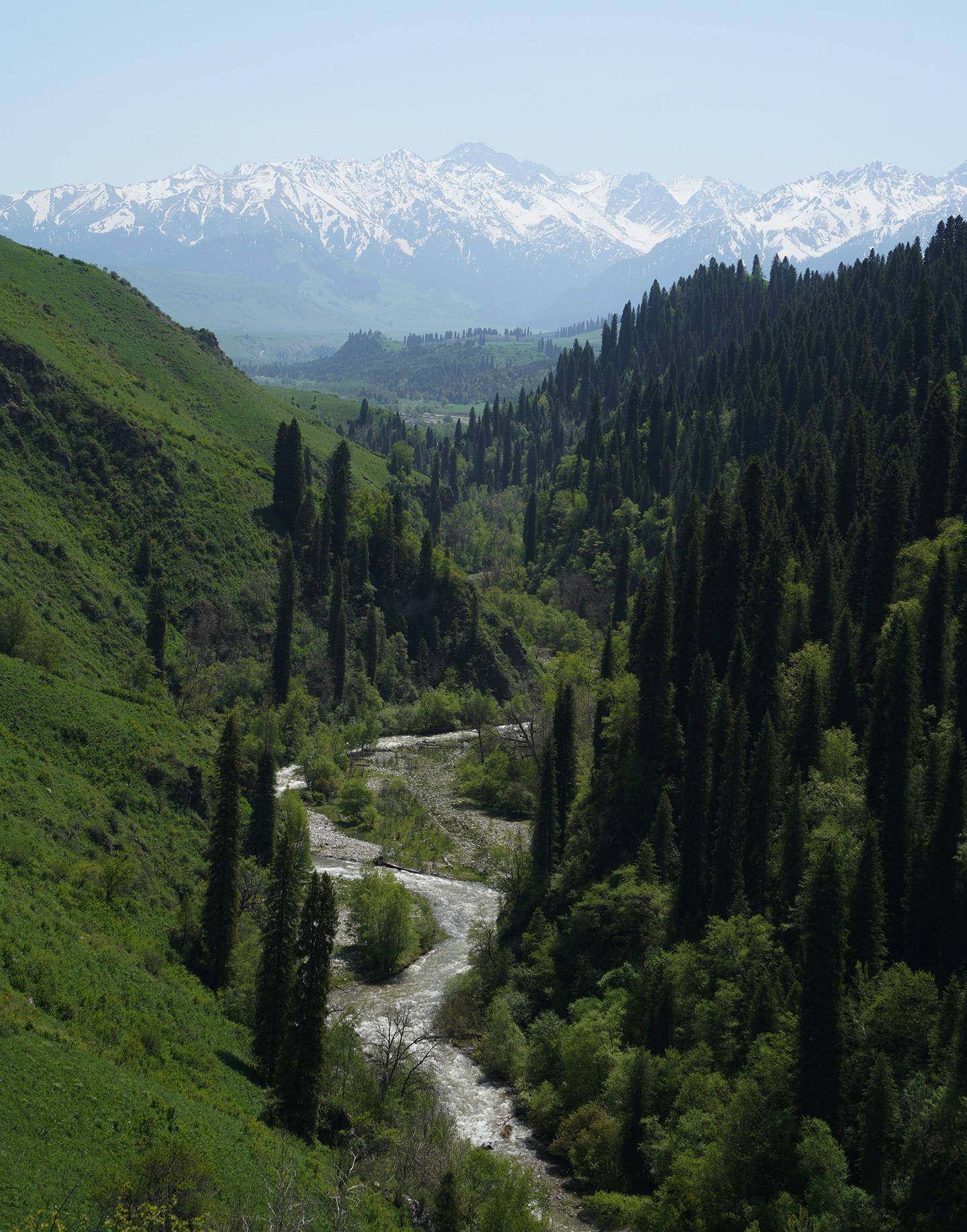 从库尔德宁到恰西,我与先行者徜徉在伊犁河谷的雪山深处_新疆_那拉提