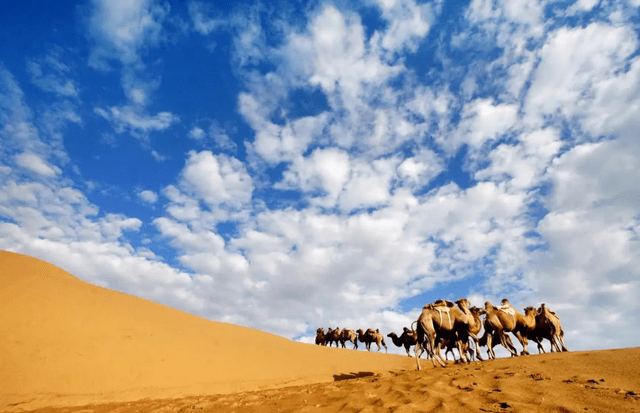 位于内蒙古鄂尔多斯市达拉特旗,库布齐沙漠是中国第七大沙漠.