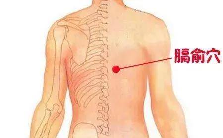 膈腧准确位置图和功效图片