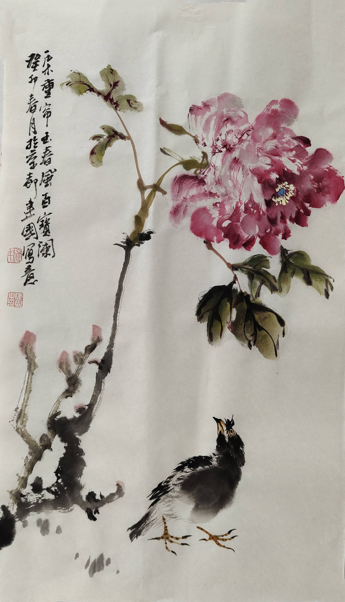 【画作】诗意的风景,画家施建国写意花鸟作品欣赏_全国_中国_水墨