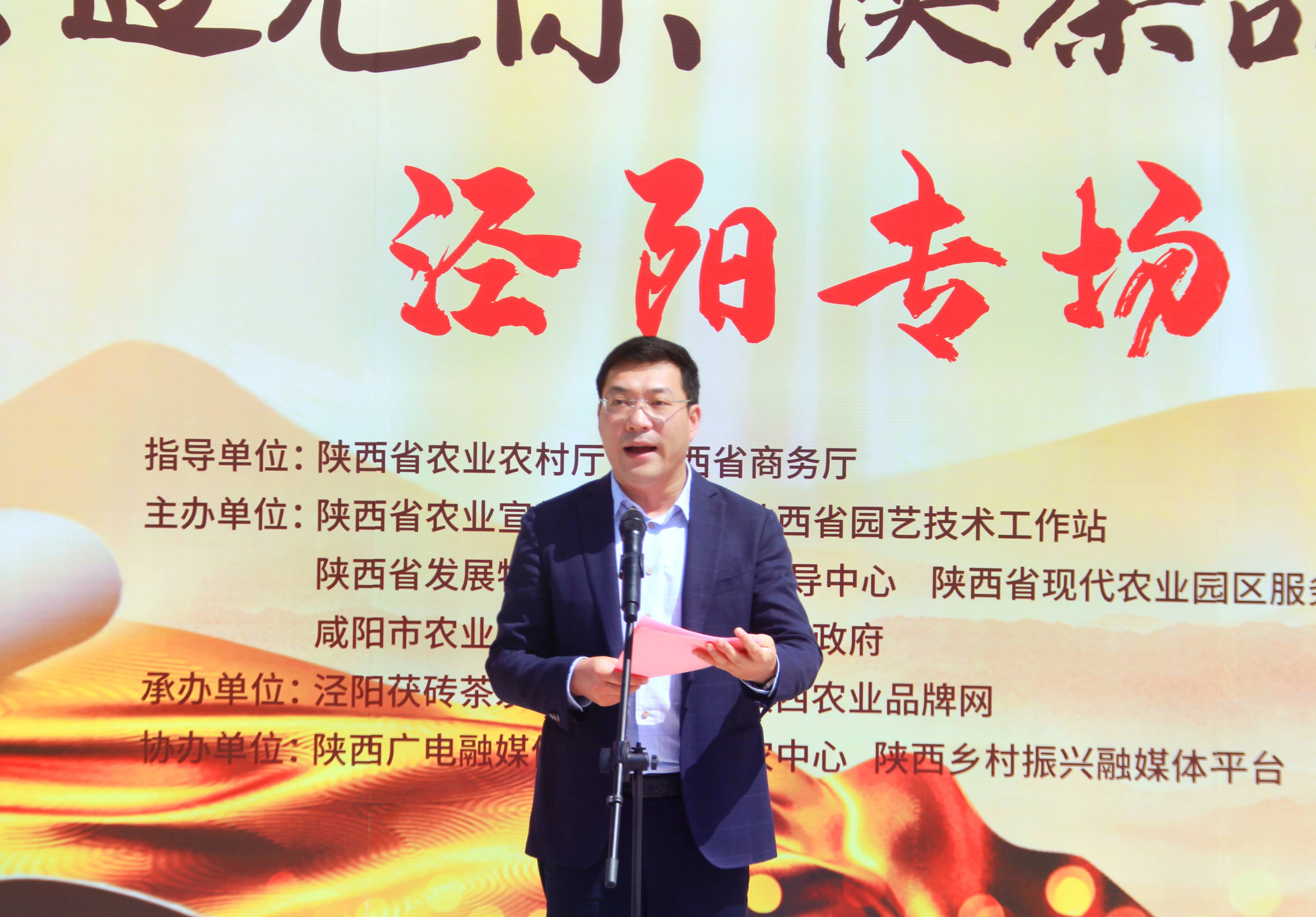 遇见陕茶遇见你 第四届陕西网上茶博会泾阳专场活动启动