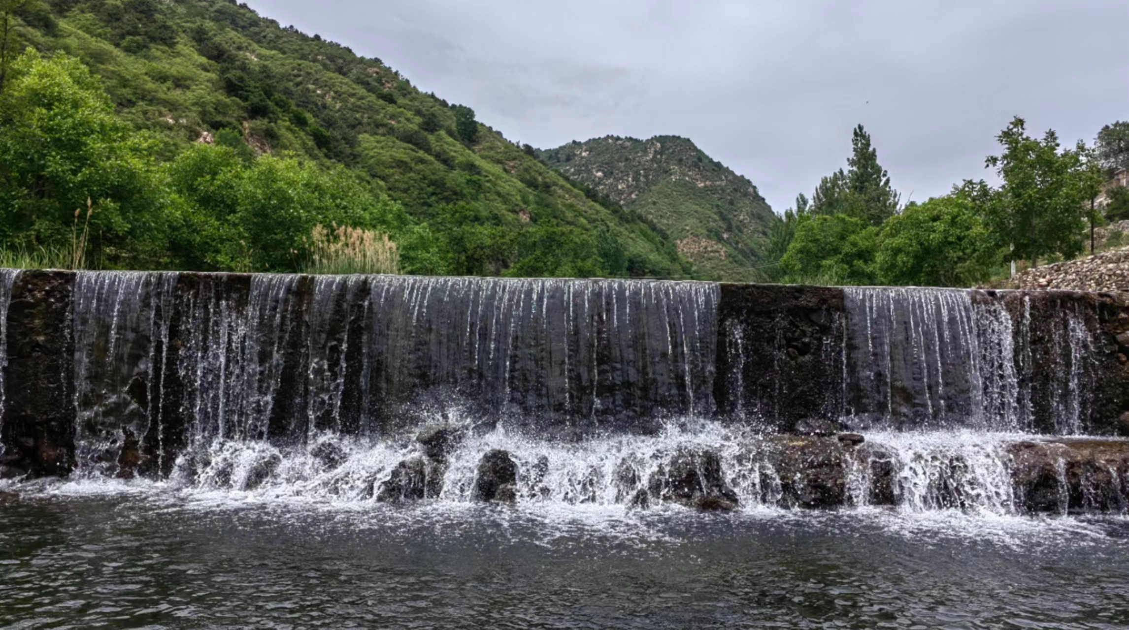河北平山县营里乡:臻选黑木耳种植产业助推乡村振兴_村民_大棚_发展