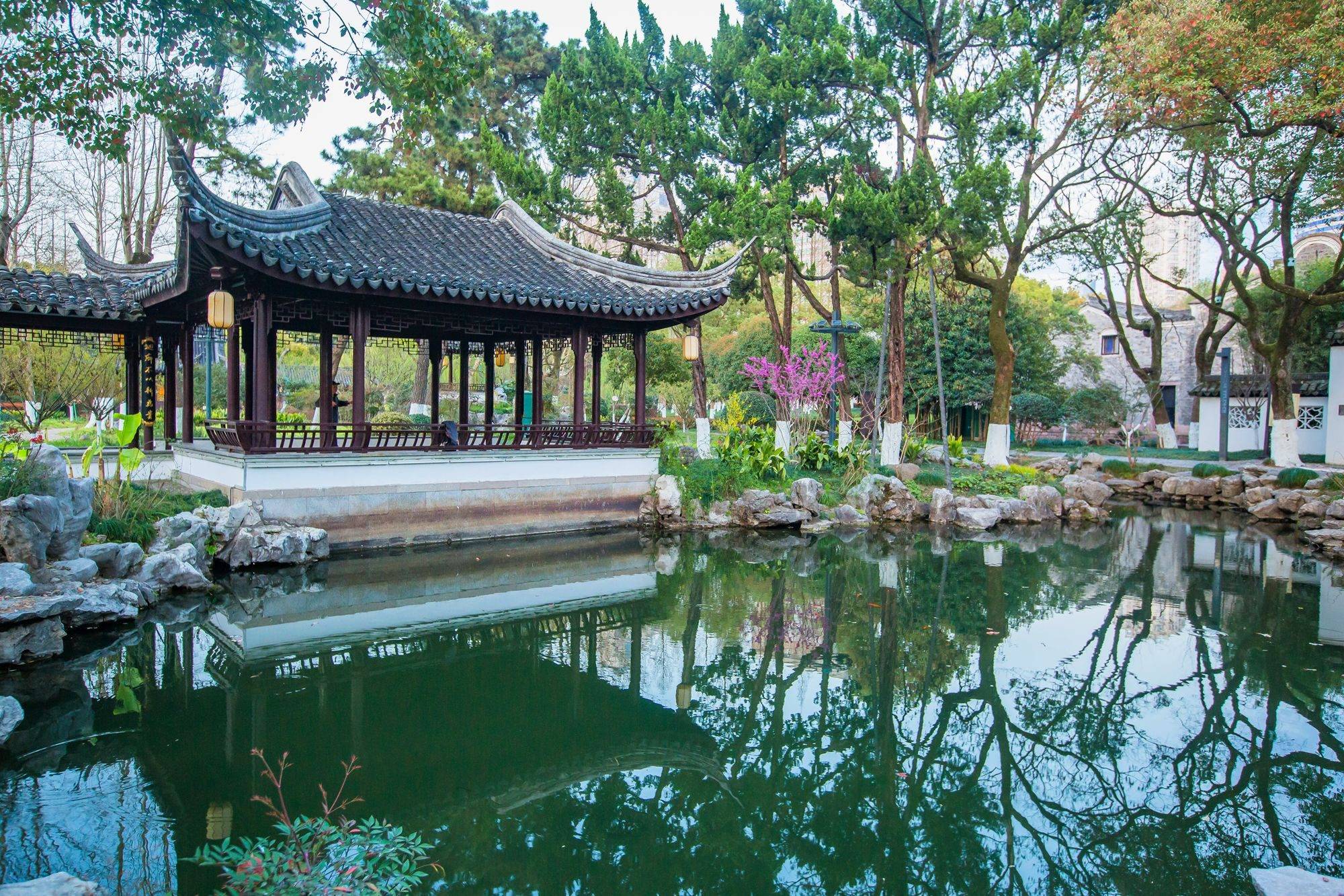 宁波月湖公园,环境优美,文人墨客荟萃,是休闲旅游的好去处_景色_山水