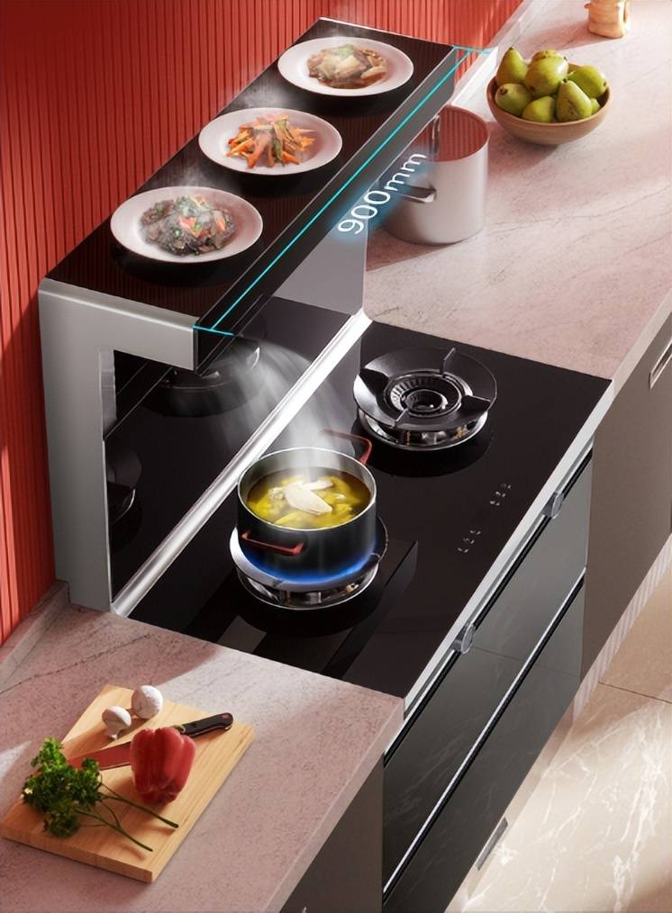 迅达消毒柜款集成灶225x:为健康生活保驾护航_厨房_空间_保护