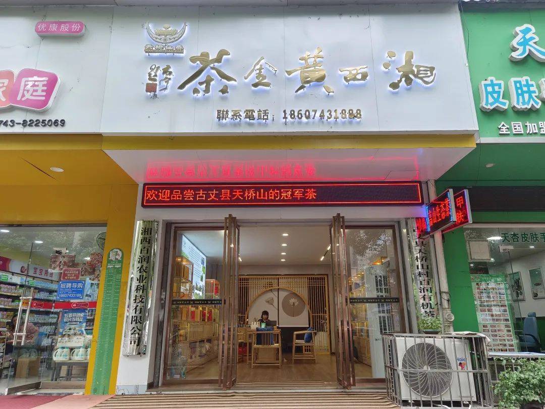 揭秘湘西“茶王”——古丈县天桥山村百润有机茶叶专业合作社-湖南古丈茶业有限公司