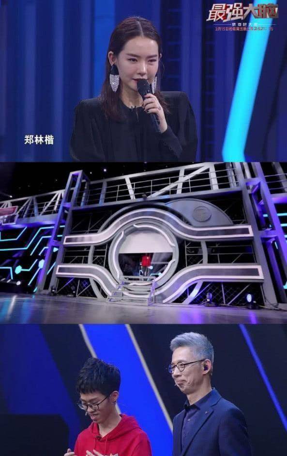 《最强大脑》结果未出之前,郑林楷王易木你更希望谁夺取脑王奖杯_质疑