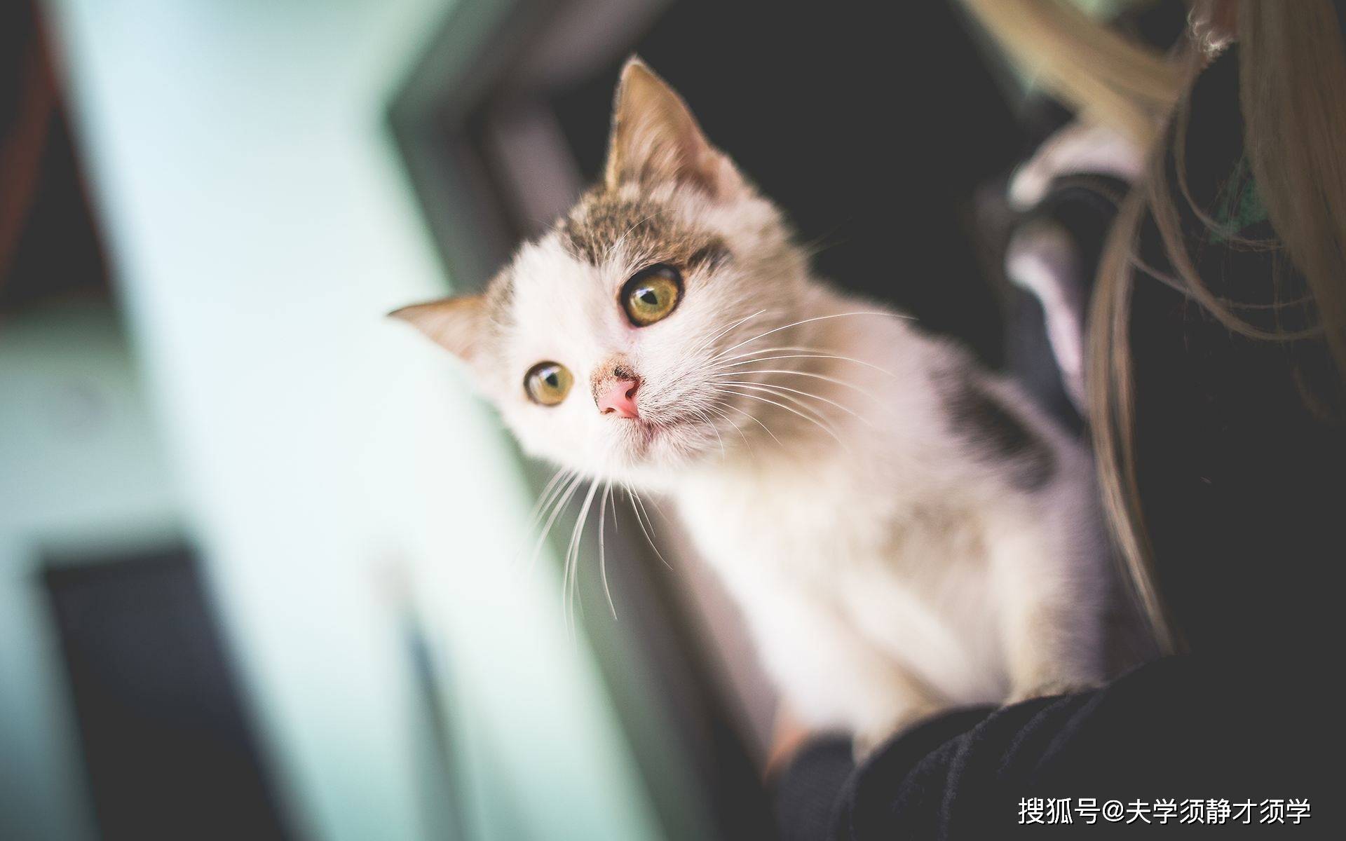 原创
            内涵段子：闺蜜说道：我追回去人已不在了，我感觉我失恋了！