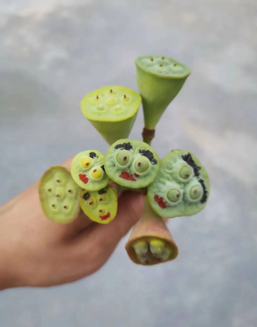 开始怀疑某些莲蓬的精神状态_图片_段子_植物大战僵尸