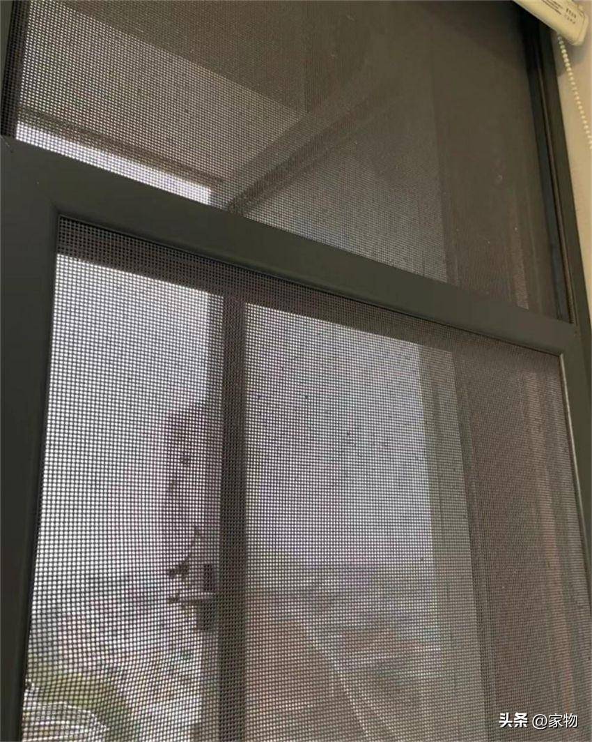 ③不好清洗纱网材质结实但厚重感强,加上密密麻麻
