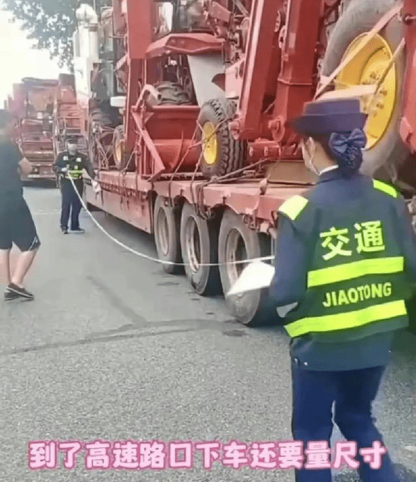 小麦因下雨发芽 河南农户哭诉损失惨重,这是天灾还是人祸？