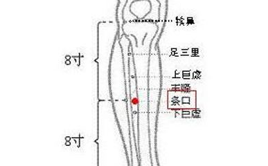 足陽明胃經被稱為