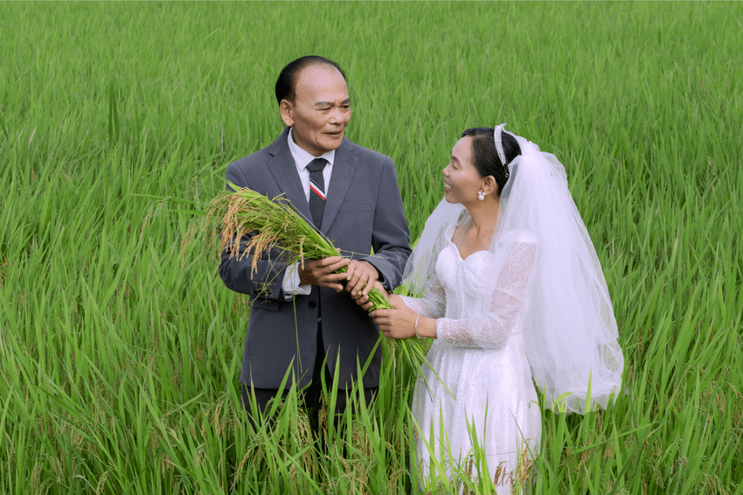 这组不一样的"稻"香婚纱照,哪一张最打动你?_夫妇_稻田_琼山区