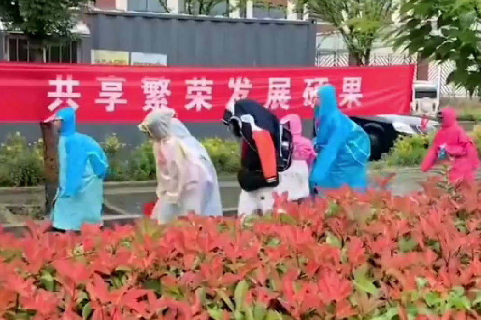 没带雨衣也不能打伞进校？某小学校规引争议,校方的解释有些道理