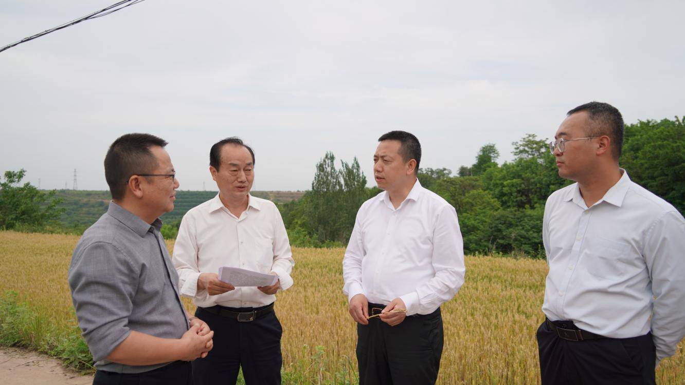 宝鸡渭滨区委副书记刘维军调研全区"三夏"生产工作_夏收_保障_天气