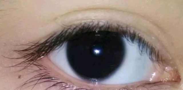 你所不知道的科技小知识_虹膜_颜色_空气