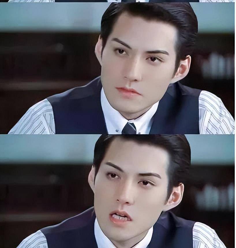 黄晓明,陈坤,刘烨等,还有一个就是严宽.