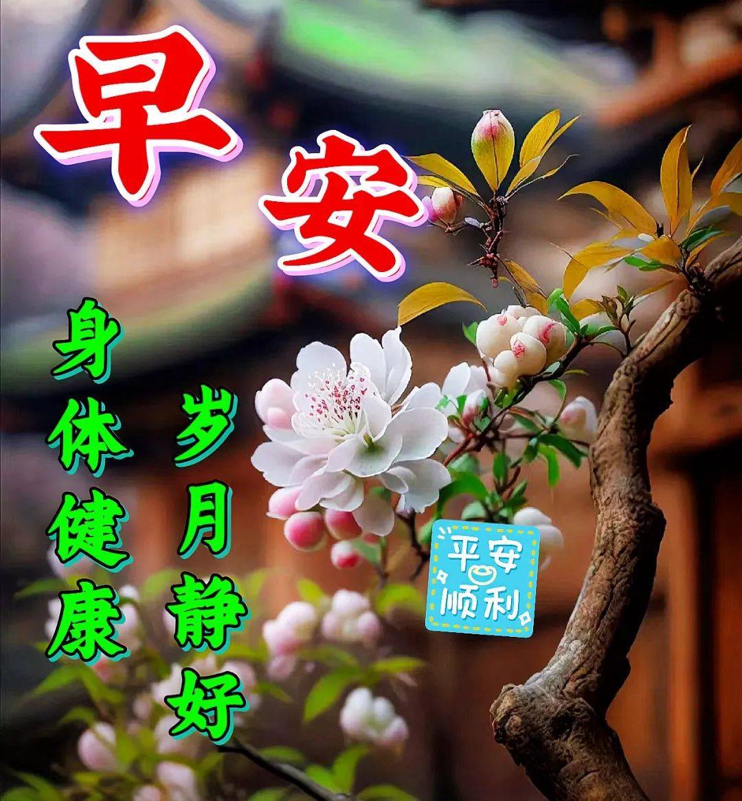漂亮问候图片祝福_生活_如意_亲爱的朋友