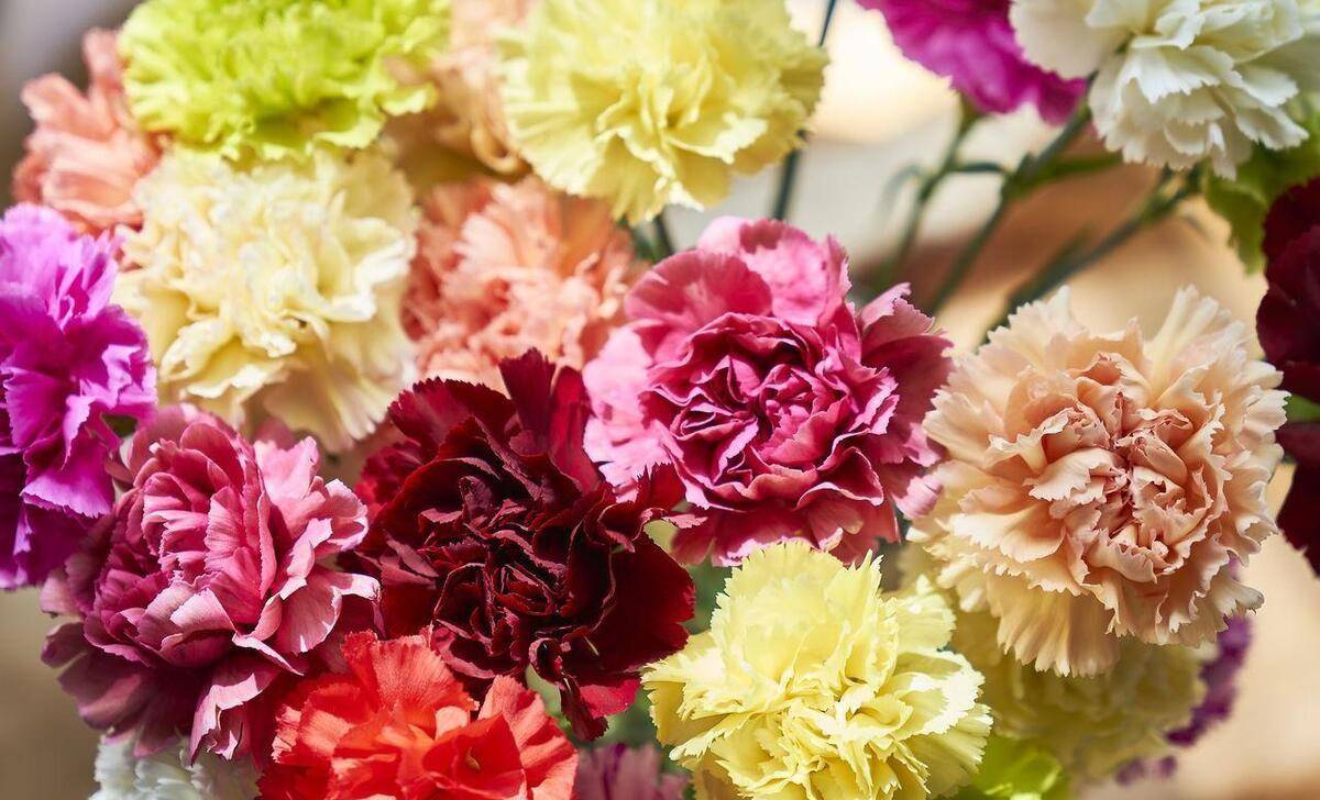 妈妈鼓励我复读,这个决定改变了我的人生_父母_时候_生活