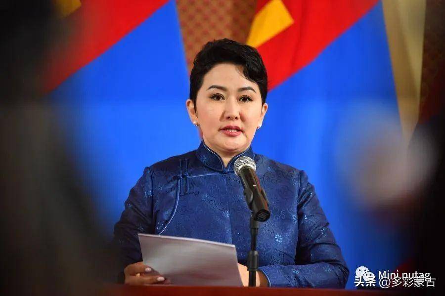 蒙古外长:对61个地方免签证,目前我们公民来蒙仍需要签证_前往_发展