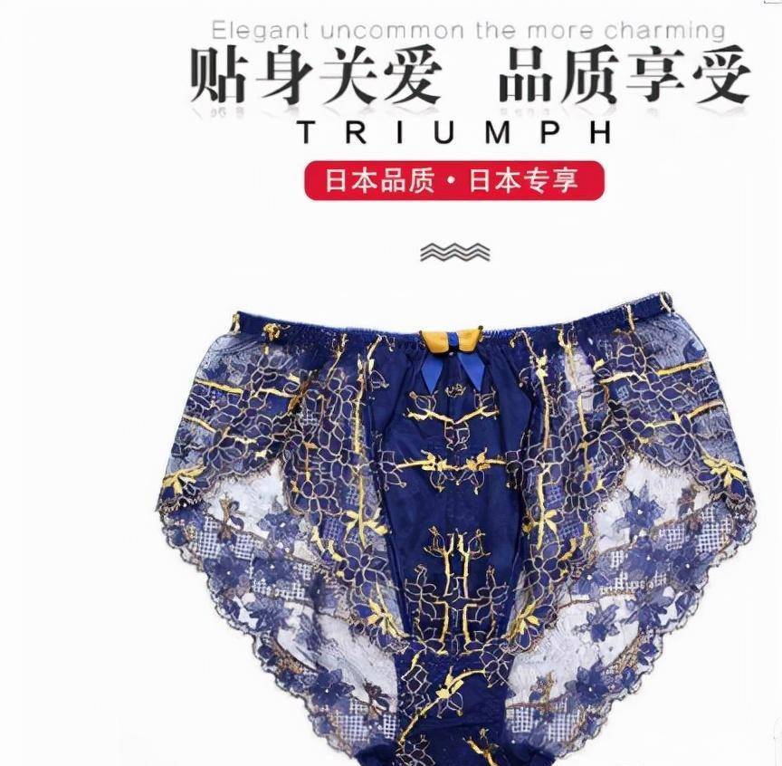 十大女性内衣品牌推荐_时尚_内裤_产品
