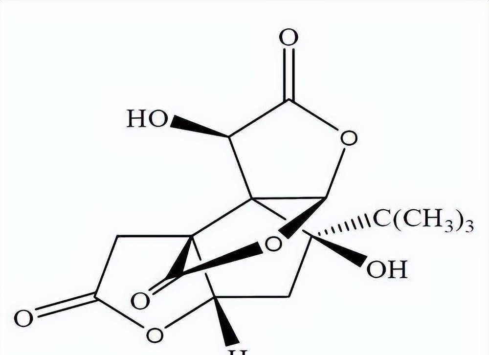 從銀杏蜜環口服溶液,化學物質基礎,到心腦血管疾病應用綜述_質量_成分