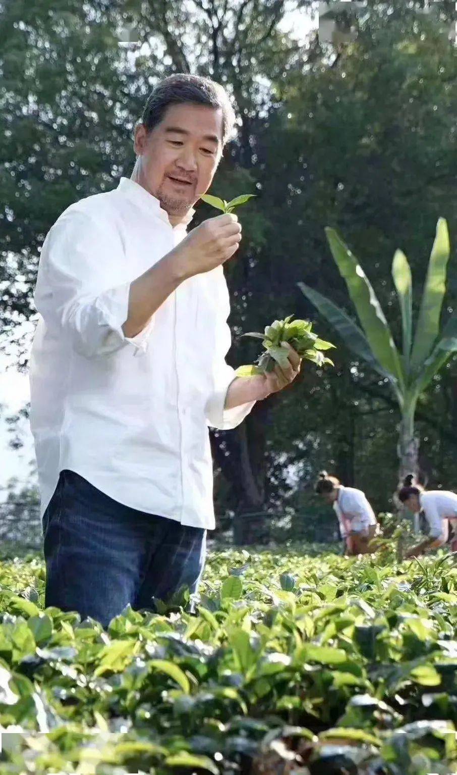 从事茶艺推广多年的台商黄传芳先生向酷爱茶饮的张国立推介了普洱茶