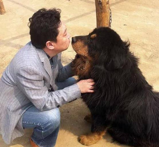 于谦四万平的养马场即将拆迁?