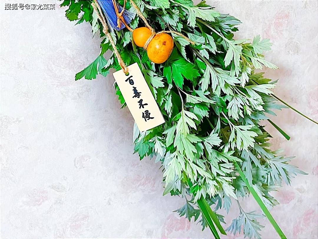 自古就有民间谚语流传:"清明插柳,端午插艾"的老习俗.