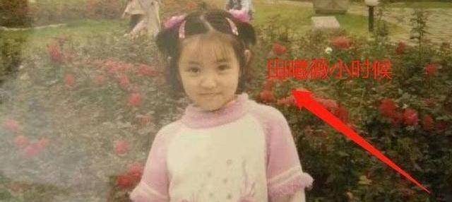 田曦薇小时候照片其他暂且不说,就颜值这块,我本人,是羡慕了.