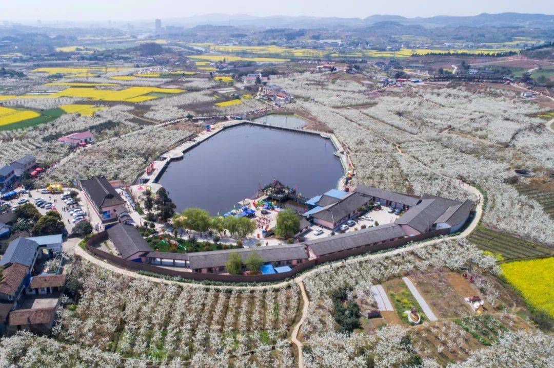 每年都会举办赏花节,有油菜花节,梨花节,柚花节