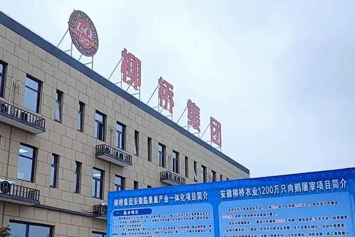2021年,柳桥集团畜禽一体化项目在安徽临泉县启动,肉鹅屠宰加工项目于