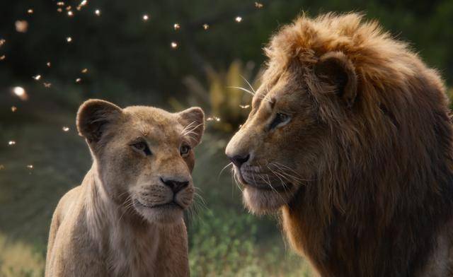 会不会一下子想到《狮子王》里辛巴和娜娜再次重逢的场景.