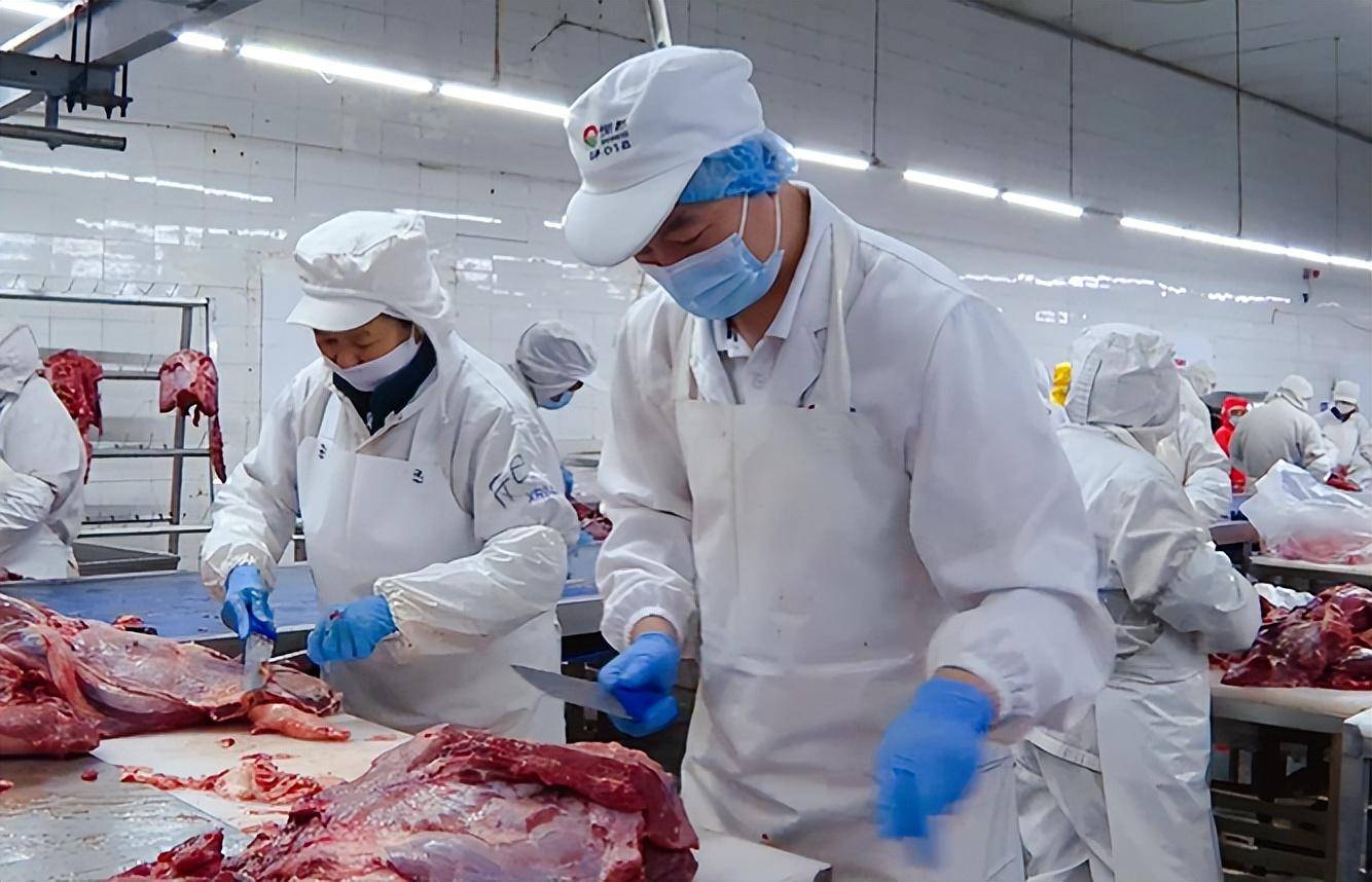 位于水天坪工业园区的恒都牛肉精深加工产业园第一层生产车间里机声
