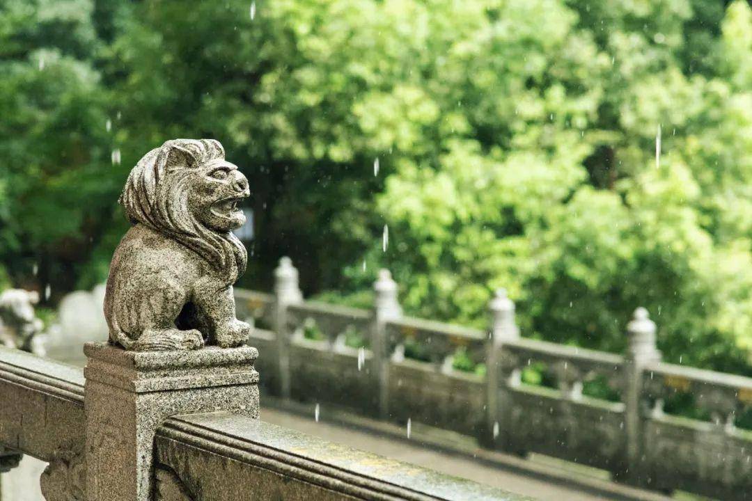 三十首夏雨诗词,半夏听雨声,凉意入心来_夏天_暴雨_大雨