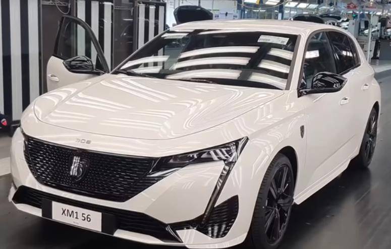 标致还有一张王牌没出,配全新狮子头车标,爆304匹马力,还搭8at_搜狐