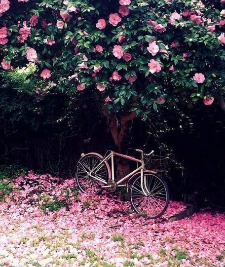 女生_铁三角_朋友